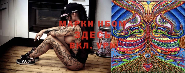 ПСИЛОЦИБИНОВЫЕ ГРИБЫ Арсеньев