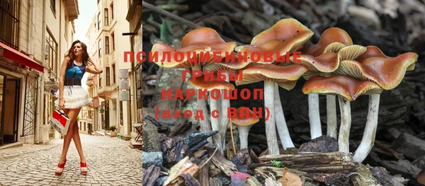 молекула духа Армянск