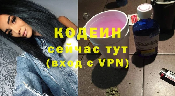 ПСИЛОЦИБИНОВЫЕ ГРИБЫ Арсеньев