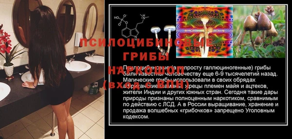 молекула духа Армянск