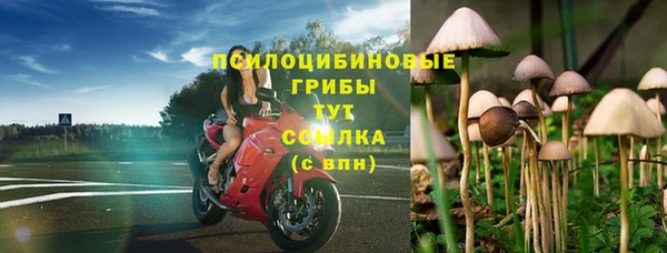 молекула духа Армянск